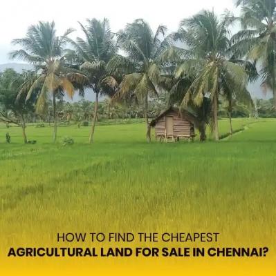 Agricultural Land For Sale in Chennai - M/S Holidays Mango Farm - Chennai For Sale