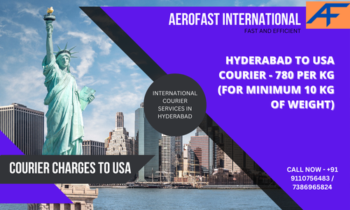 COURIER CHARGES TO USA - Hyderabad Other