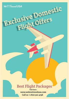 Exclusive Domestic Flight Offers - Chicago Other