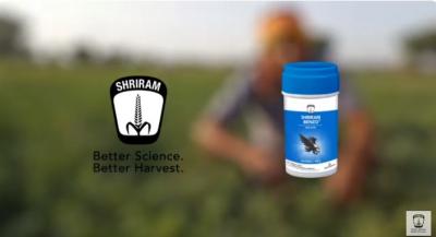 Eliminate Borer Pests and Enhance Crop Quality with Shriram Benzo