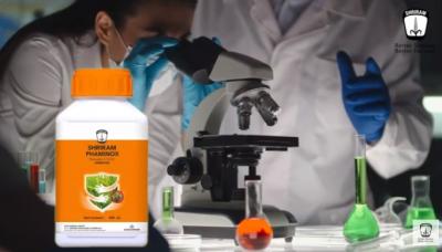 Shriram Phaminox: Advanced Pest Control for Wheat Crops