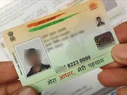 Download Your Aadhaar Card in Minutes - Delhi Other