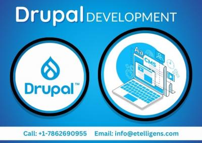 Drupal Development Services for Completely Customised Web Applications