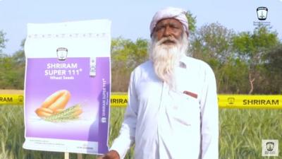 Boost Crop Yields with Shriram Super 111 Wheat Seeds in Chittorgarh