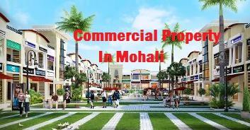 Commercial Property In Mohali - Chandigarh Other