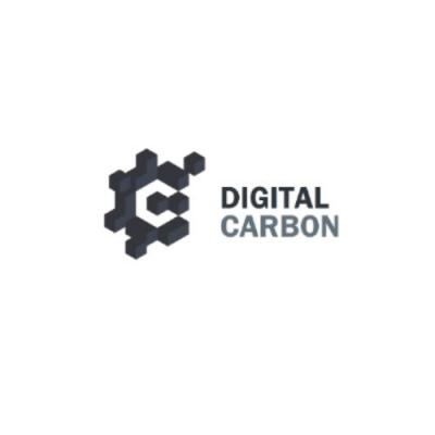 Managed WAN Services  - Digital Carbon - London Other