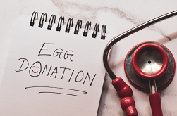 Best Egg Donation Treatment in India