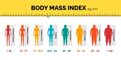 Understanding Your Health with a BMI Calculator