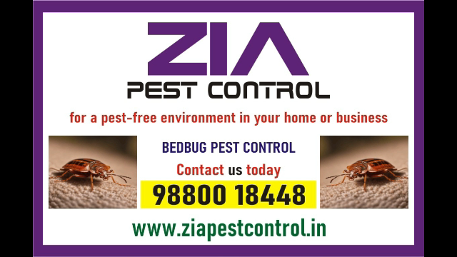 Bedbug service | General pest control | 1948 | Zia Pest  control - Bangalore Temp, Part Time