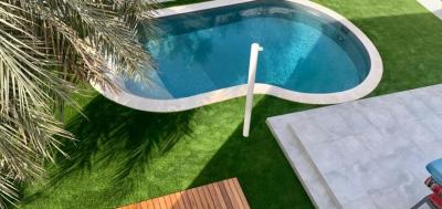 Easi Landscapes & Pools - Dubai Other