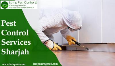 pest control services Dubai - Dubai Other