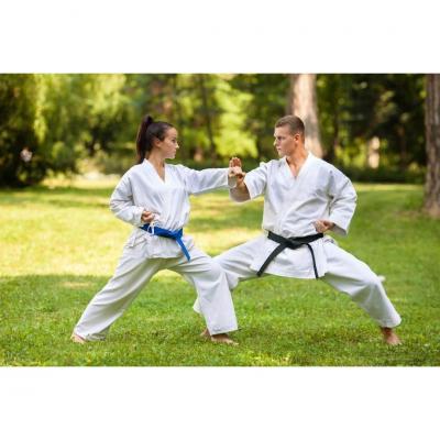 Martial Arts Classes for Adults