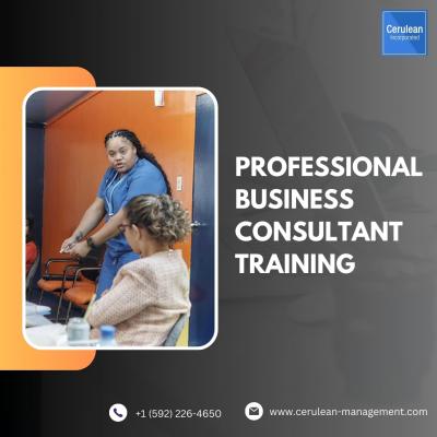 Professional Business Consultant Training | Cerulean Management