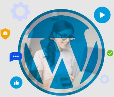 Top-Notch WordPress Development Services by AResourcePool - Other Other