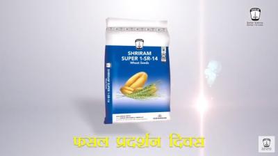 Achieve High Yields with Shriram Super 1 SR 14 Wheat Seeds