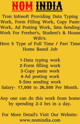 Part Time Home Based Data Entry Typing Jobs  - Delhi Temp, Part Time