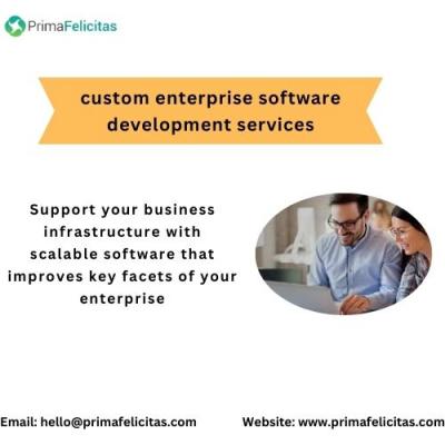 Custom Software Development Company: Growth Opportunities.