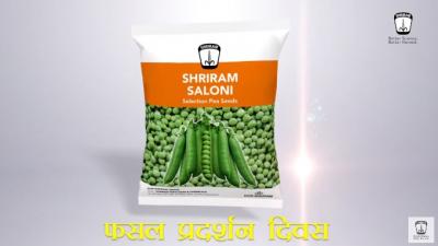 Experience Shriram Saloni Pea Seeds: Live Crop Demonstration