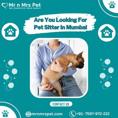 Best Pet Sitter in Mumbai - Hyderabad Other