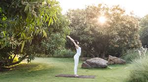 Yoga In Gir Sasan Gir | Meditation In Gir Sasan Gir