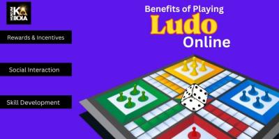 Play Ludo online - Delhi Other