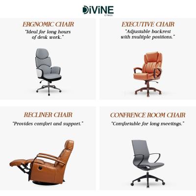 Discover Premium Office Furniture in Siliguri at Divine Seatings - Other Furniture