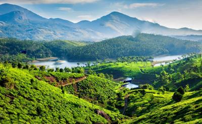 Experience Kerala: Where Tourism Meets Economic Brilliance! - Thiruvananthapuram Other