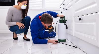 Effective Pest Control in Dubai – Contact Us Today!