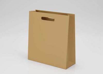 Custom Paper Bags with Handles