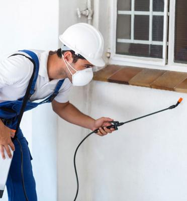 Expert Termite Treatment in Adelaide - Adelaide Other