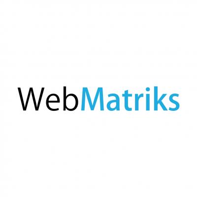 Best SEO Company in Delhi - WebMatriks