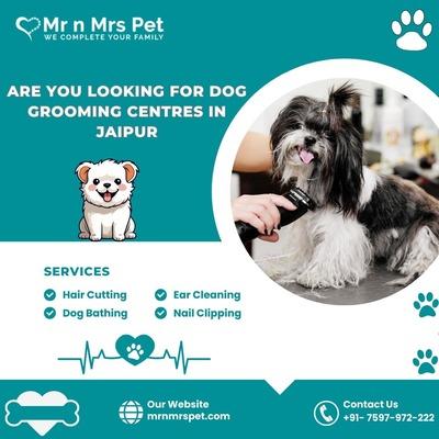 Best Dog Grooming Centres in Jaipur - Jaipur Other