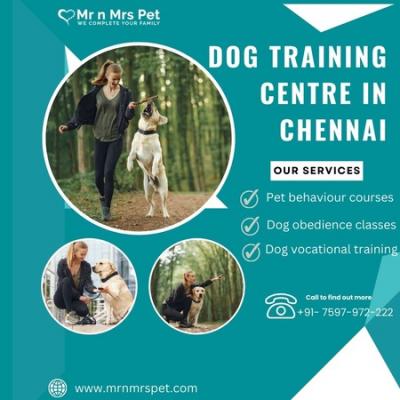 The Best Dog Training Centre in Chennai - Chennai Other