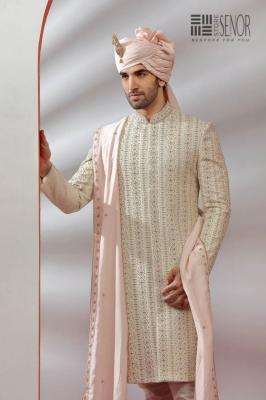 Latest Sherwani Design Marriage - Gurgaon Clothing