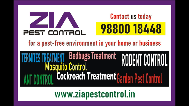 Zia Pest control service | Cockroach treatment service in bangalore | 1981 - Bangalore Other