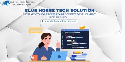 Blue Horse Tech Solution: Your Go-To for Professional Website Development | Get in Touch Now!