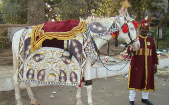 Band in dera basi - Chandigarh Other