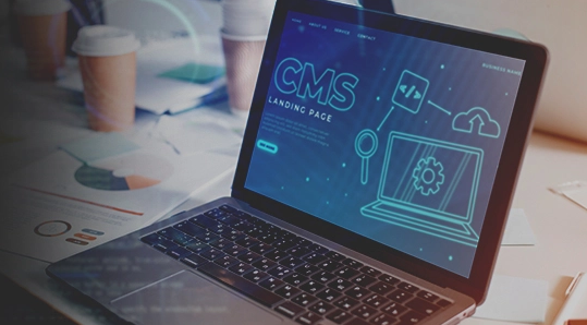 Role of A CMS Development Company in the USA