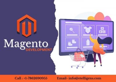 Best Magento Development Services Providing Custom Ecommerce Platforms