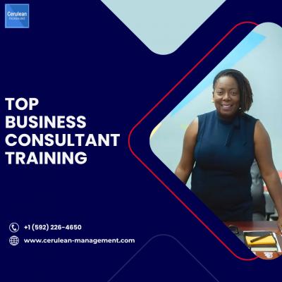 Top Business Consultant Training | Cerulean Management Services