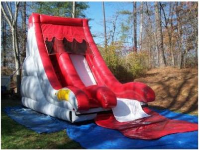 Dry Slide Bounce House – Hickory Mega Parties