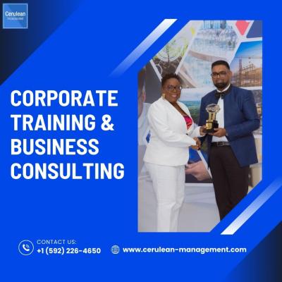 Corporate Training & Business Consulting | Cerulean Management