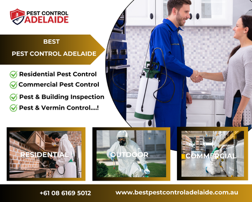 Top-Notch Pest Control in Adelaide - Adelaide Other