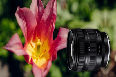 Choosing the Best Lens for Wildlife Photography | Tamron