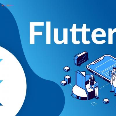 Hire Professional Flutter Developers | Appnox Technoligies - Washington Other