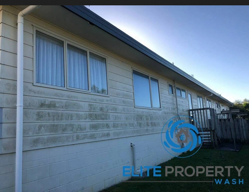 Expert Mould Removal Services in Gold Coast