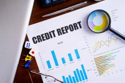 Corporate Credit Report