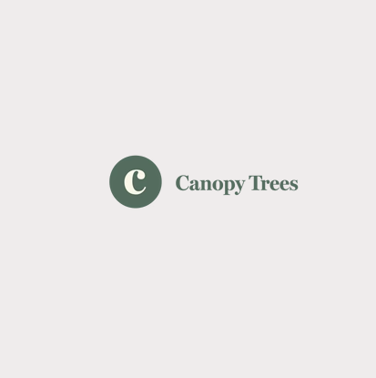 Canopy Trees - Brisbane Other