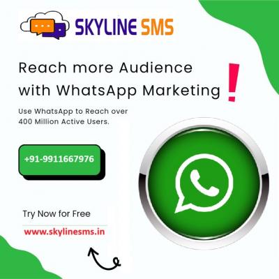 Bulk WhatsApp Service Provider in Delhi | 9911667976