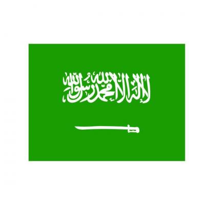 Essential Guide to Saudi Arabia Work Visa Application